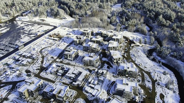 Savon fiel de bœuf : détachez naturellement