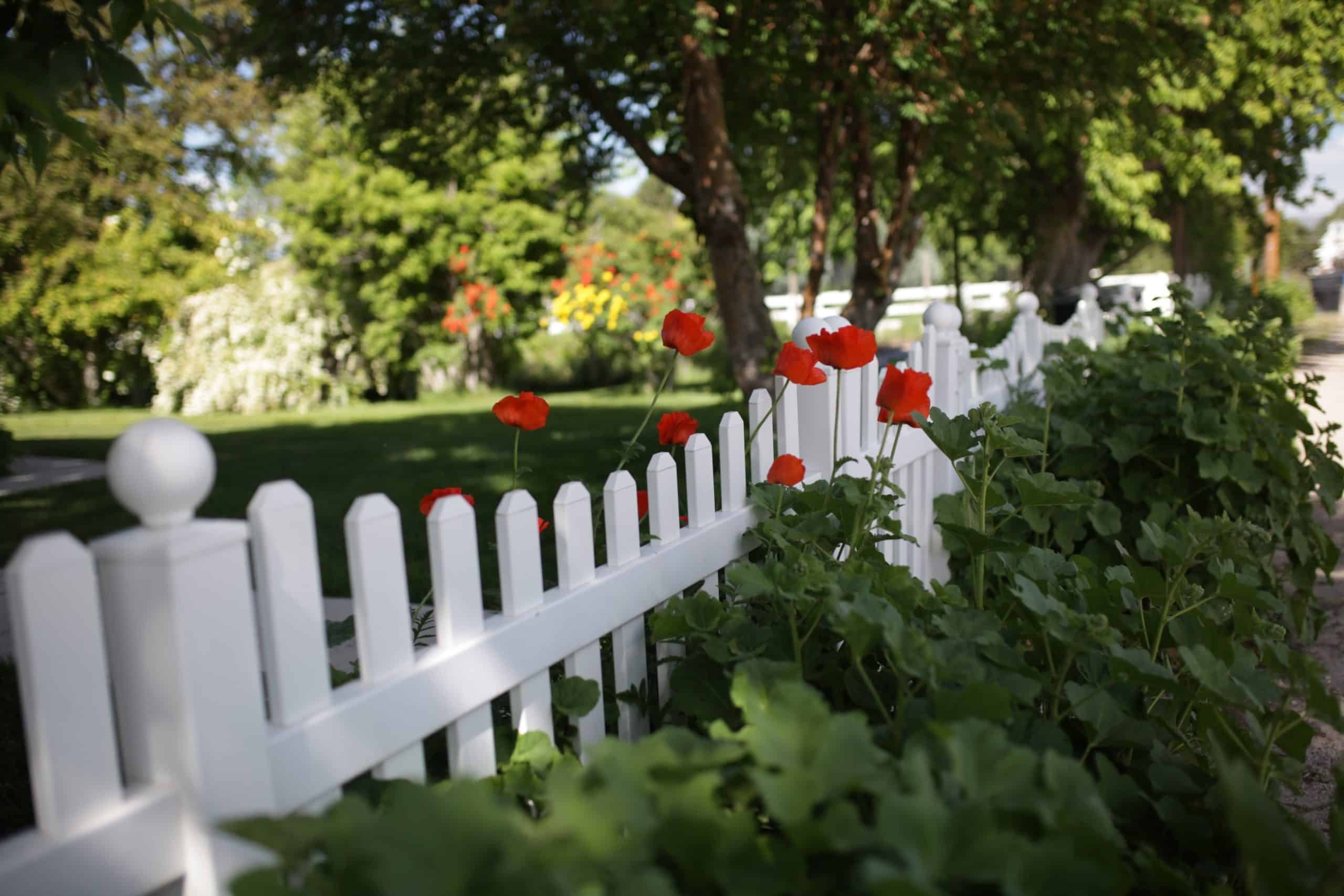Clôture extérieure : les différents types de clôtures pour jardin